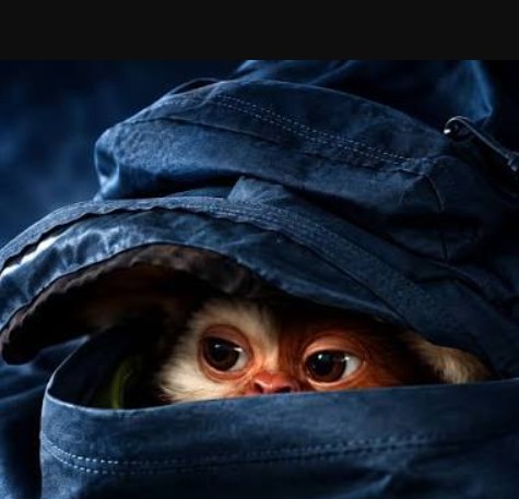 Un premier teaser pour Gremlins 3 ! Mais du retard... 